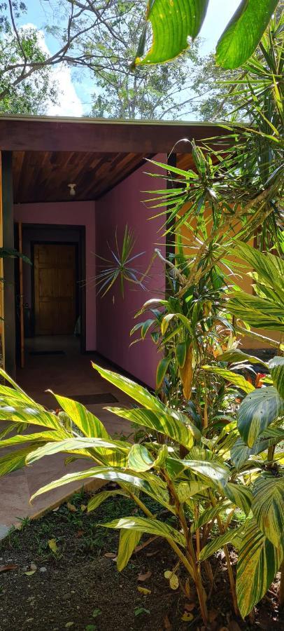 Ciudad Perdida Ecolodge กาอุยตา ภายนอก รูปภาพ