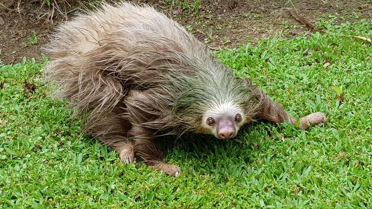 Ciudad Perdida Ecolodge กาอุยตา ภายนอก รูปภาพ