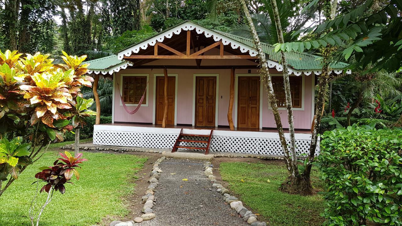 Ciudad Perdida Ecolodge กาอุยตา ภายนอก รูปภาพ
