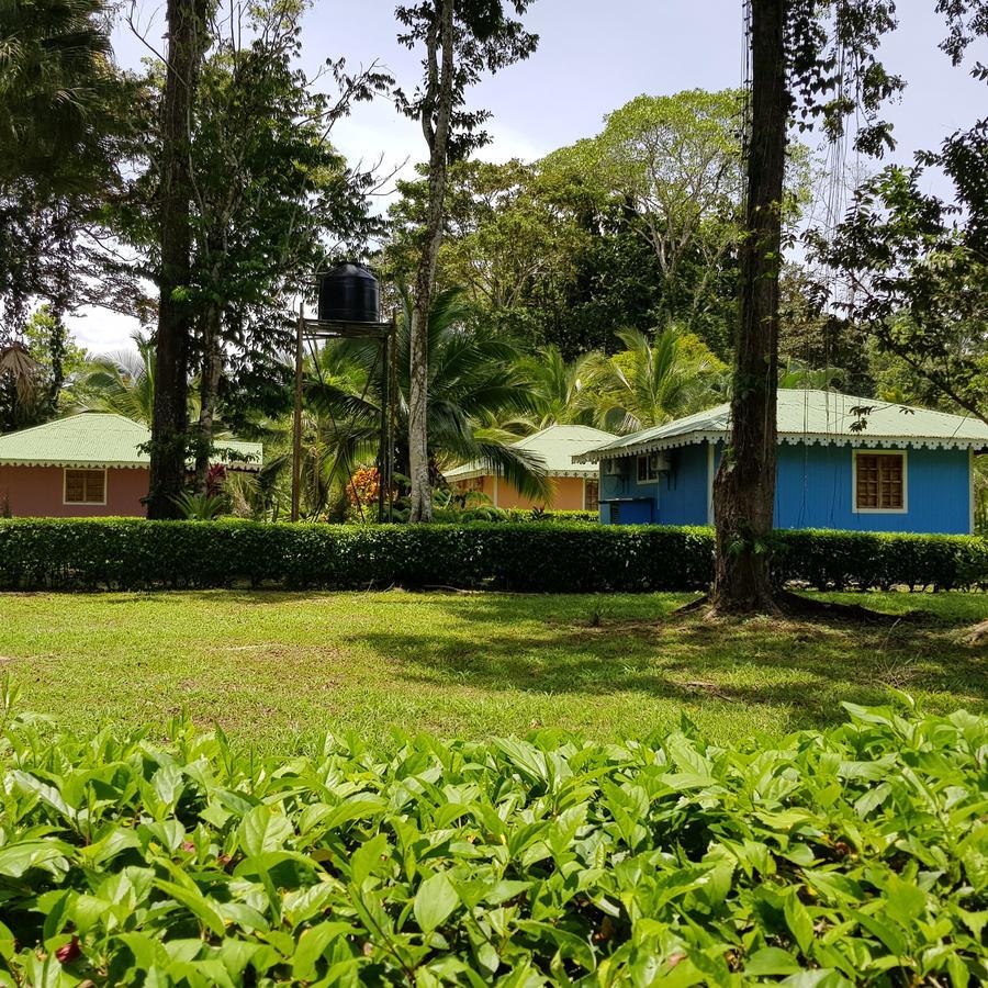 Ciudad Perdida Ecolodge กาอุยตา ภายนอก รูปภาพ